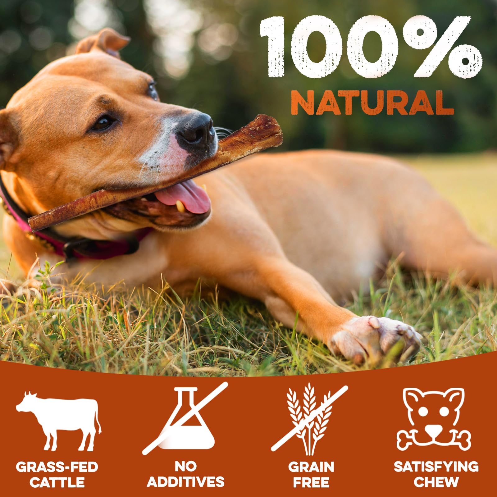 BRUTUS & BARNABY single-ingredient chew clean, odor-friendly for pets' daily routines
