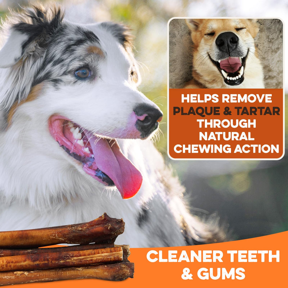 BRUTUS & BARNABY no preservatives guarantee for natural dog chews