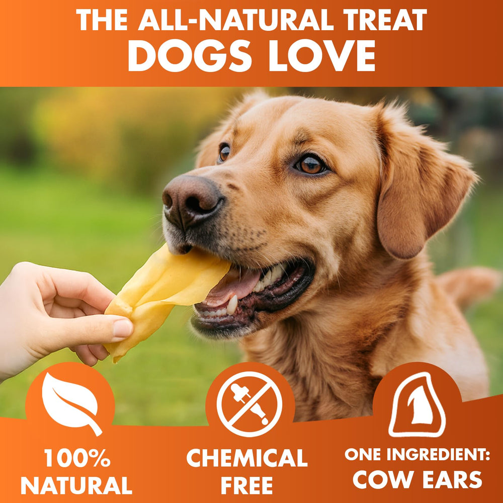 BRUTUS & BARNABY grass-fed Angus beef chew ideal for natural treats