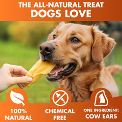 BRUTUS & BARNABY grass-fed Angus beef chew ideal for natural treats