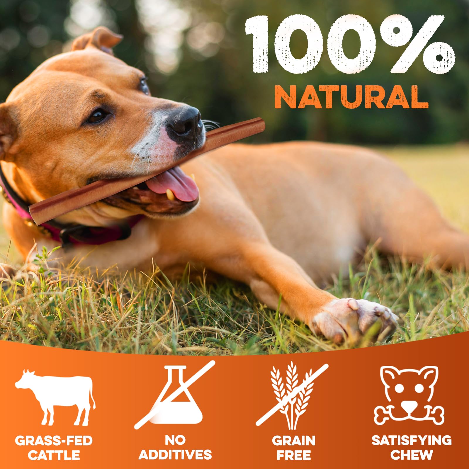 BRUTUS & BARNABY hormone-free no-bleach image emphasizing clean ingredients.