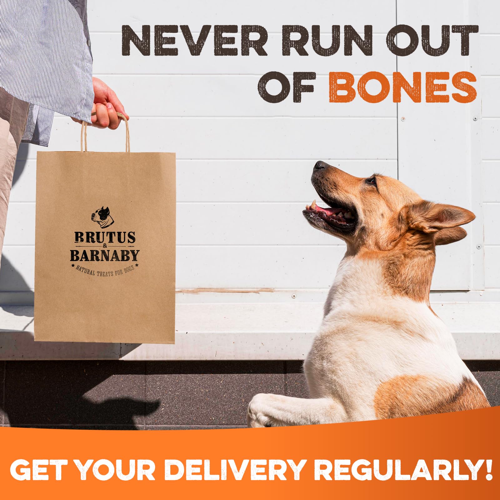 BRUTUS & BARNABY kneecap bones high-protein treat for dogs.