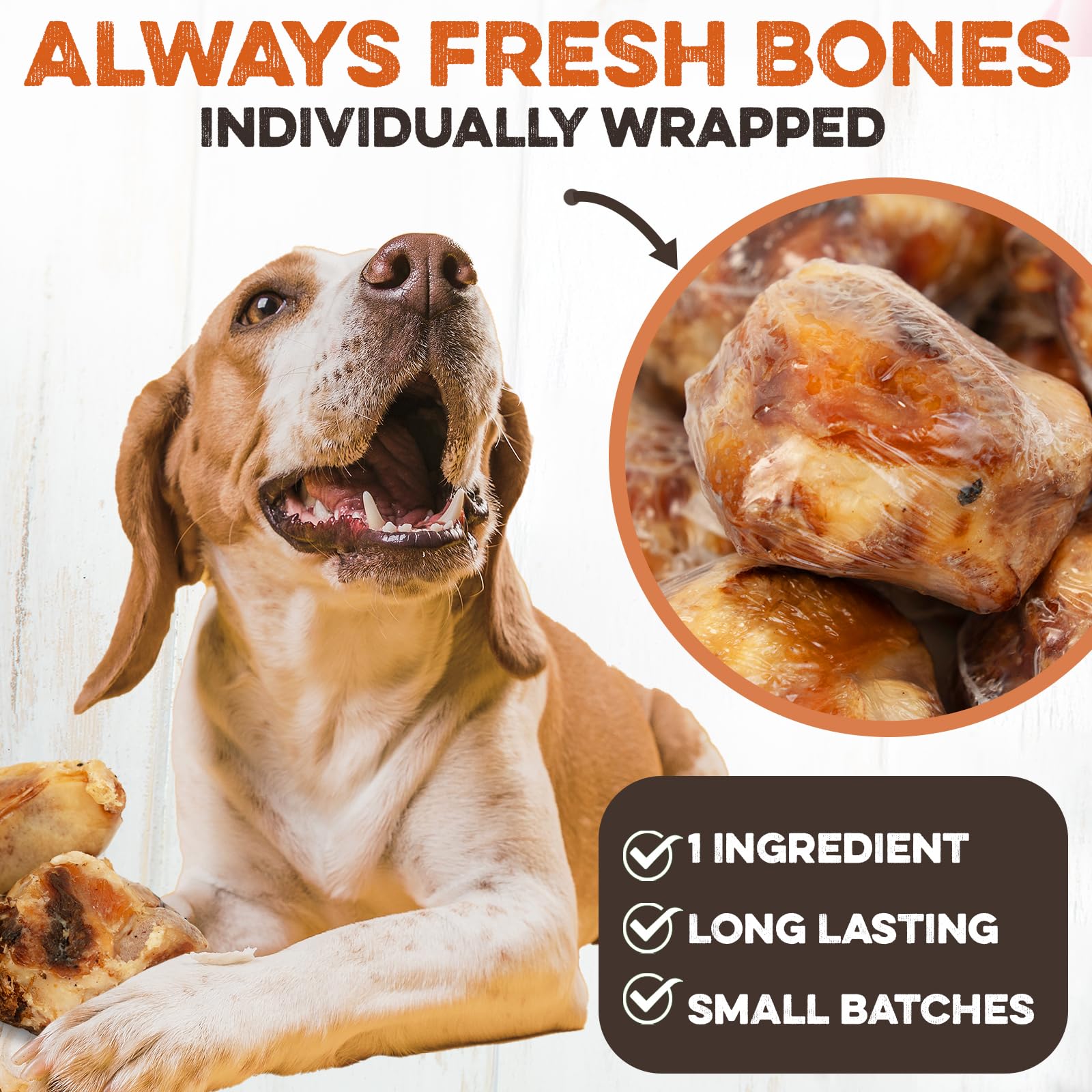 BRUTUS & BARNABY kneecap bones USA-sourced, quality assurance.
