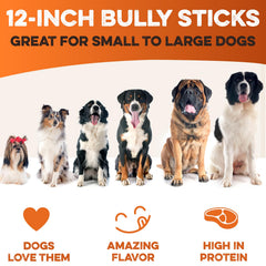 BRUTUS & BARNABY low-odor processing visual showing reduced scent.