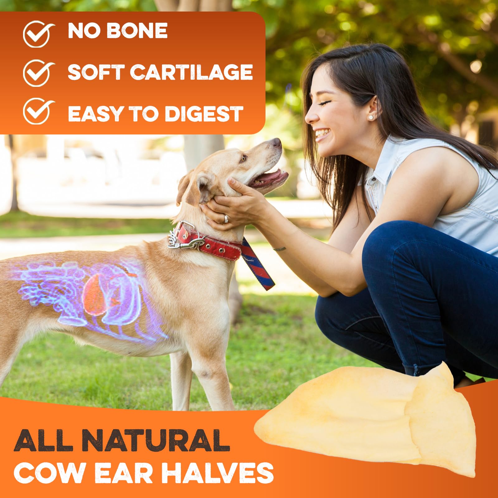 BRUTUS & BARNABY mess-free chew keeps playtime stain-free