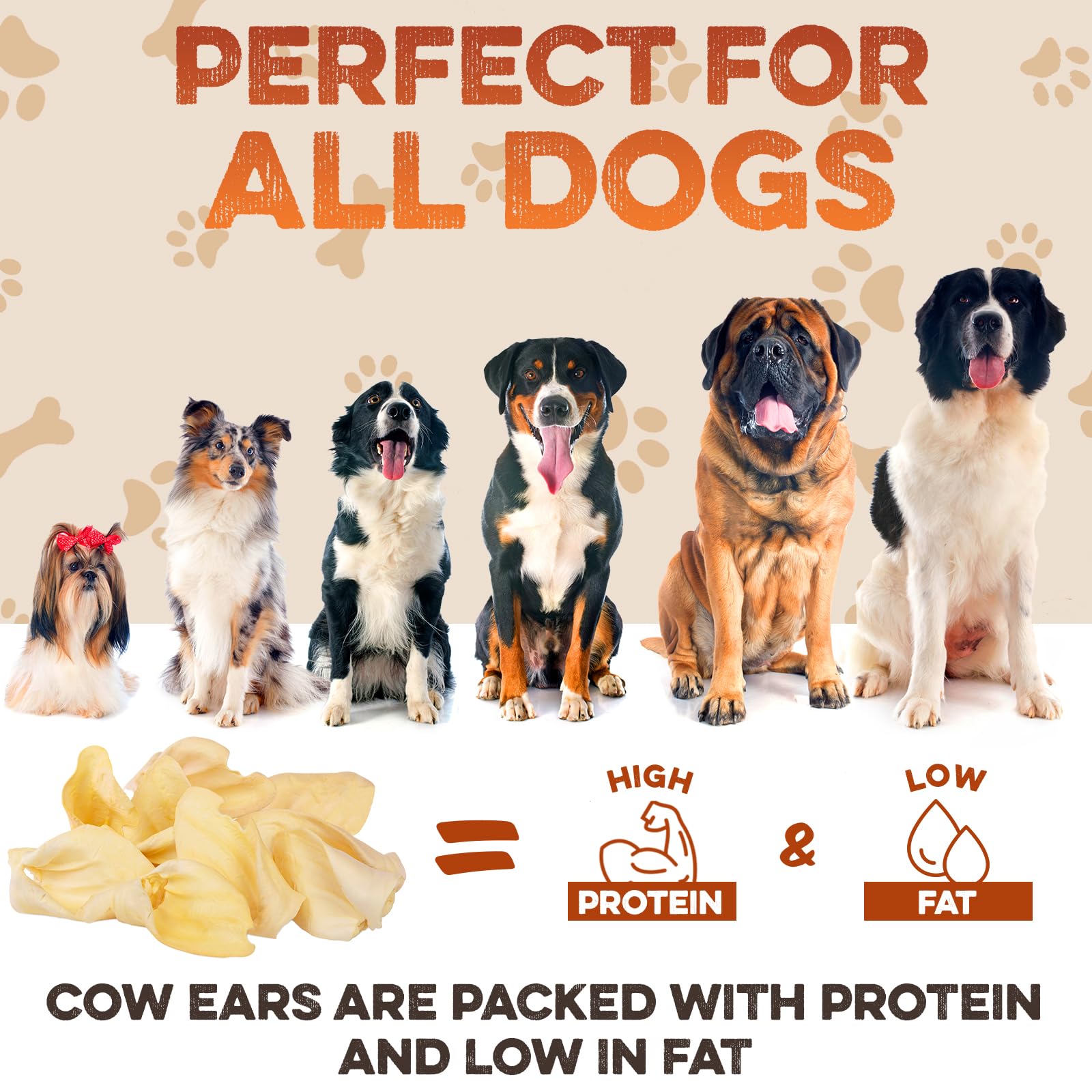 BRUTUS & BARNABY trusted for over a decade by dog owners