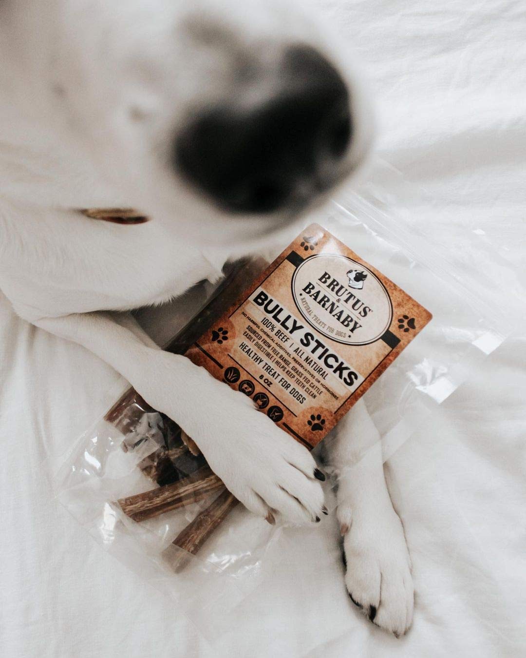 BRUTUS & BARNABY rawhide-free chew ideal for power chewers.