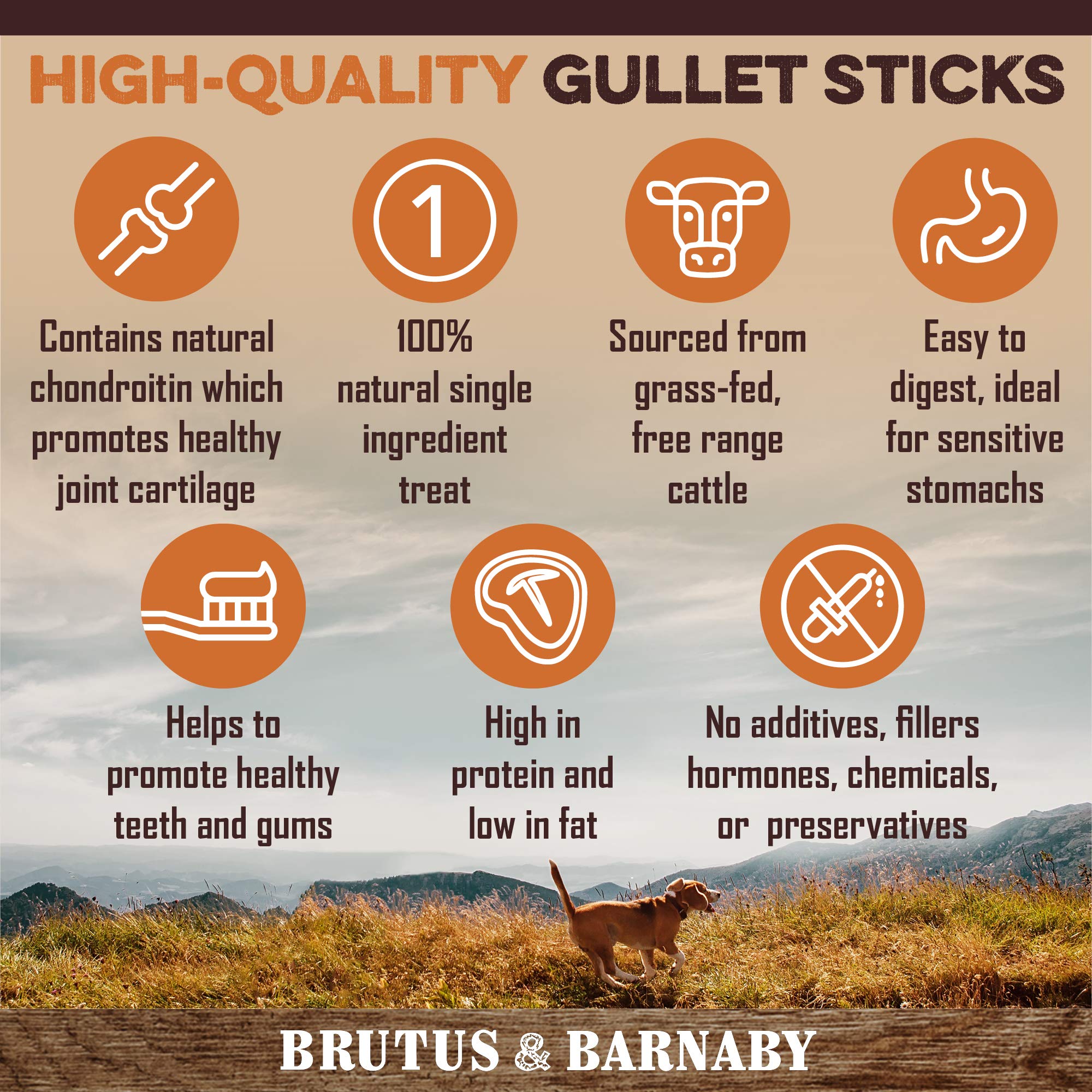 BRUTUS & BARNABY esophagus chews are not bleached, offering a natural chew alternative.