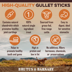 BRUTUS & BARNABY esophagus chews are not bleached, offering a natural chew alternative.