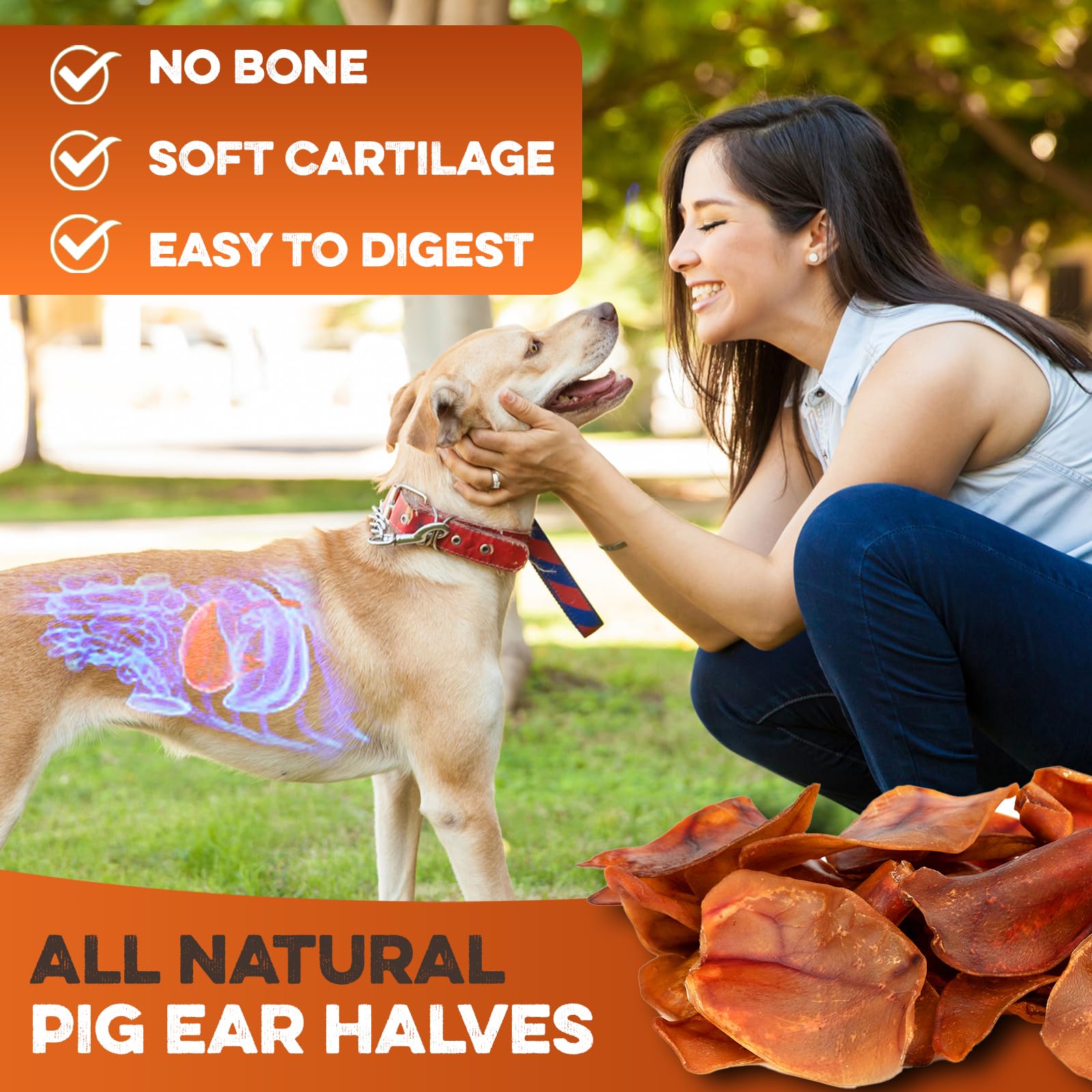 BRUTUS & BARNABY mess-free chew with minimal residue.