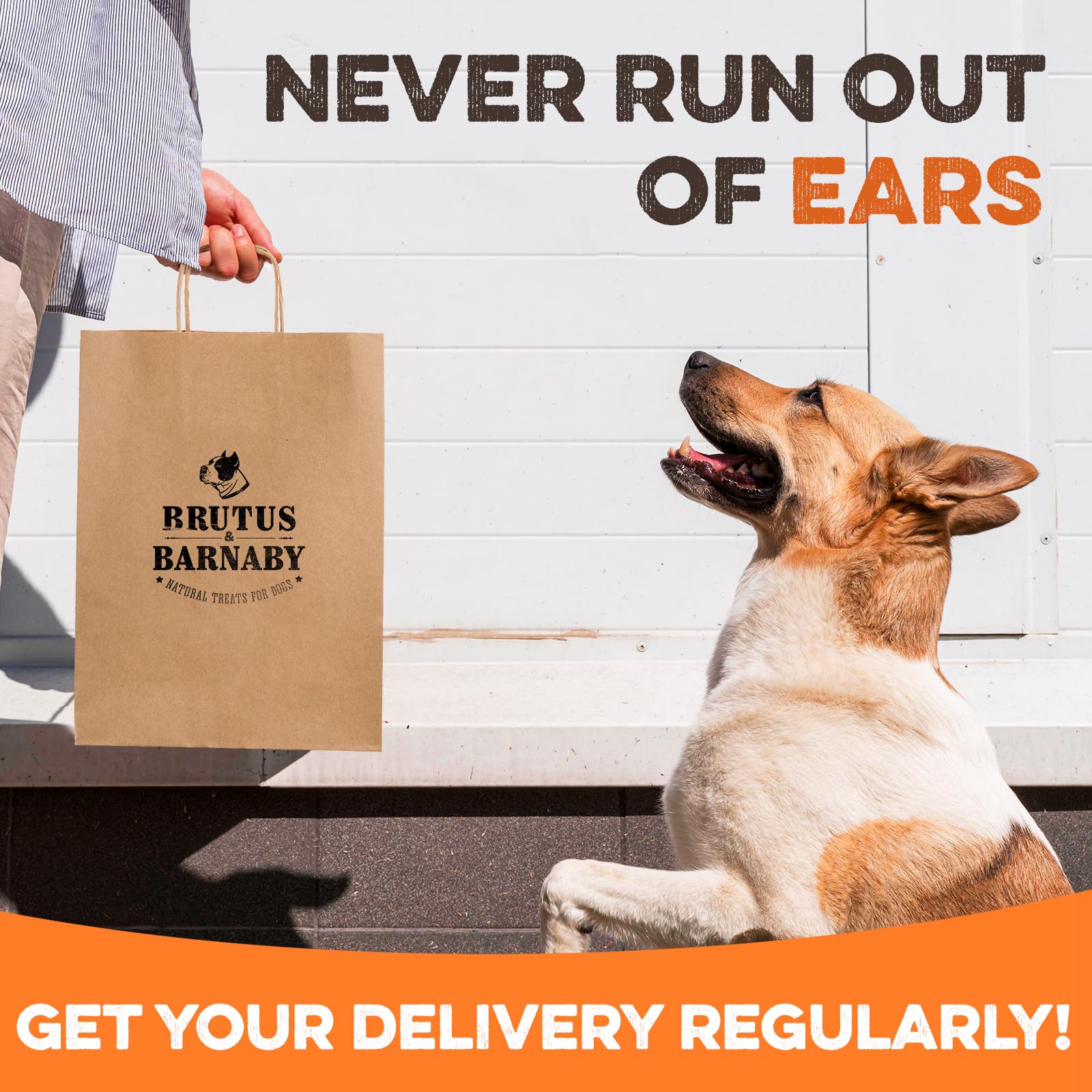 Slow-cooked BRUTUS & BARNABY pig ears preserve flavor and crunch.