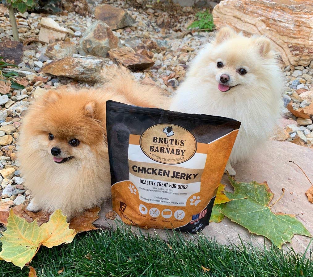 BRUTUS & BARNABY preservative-free jerky with no additives
