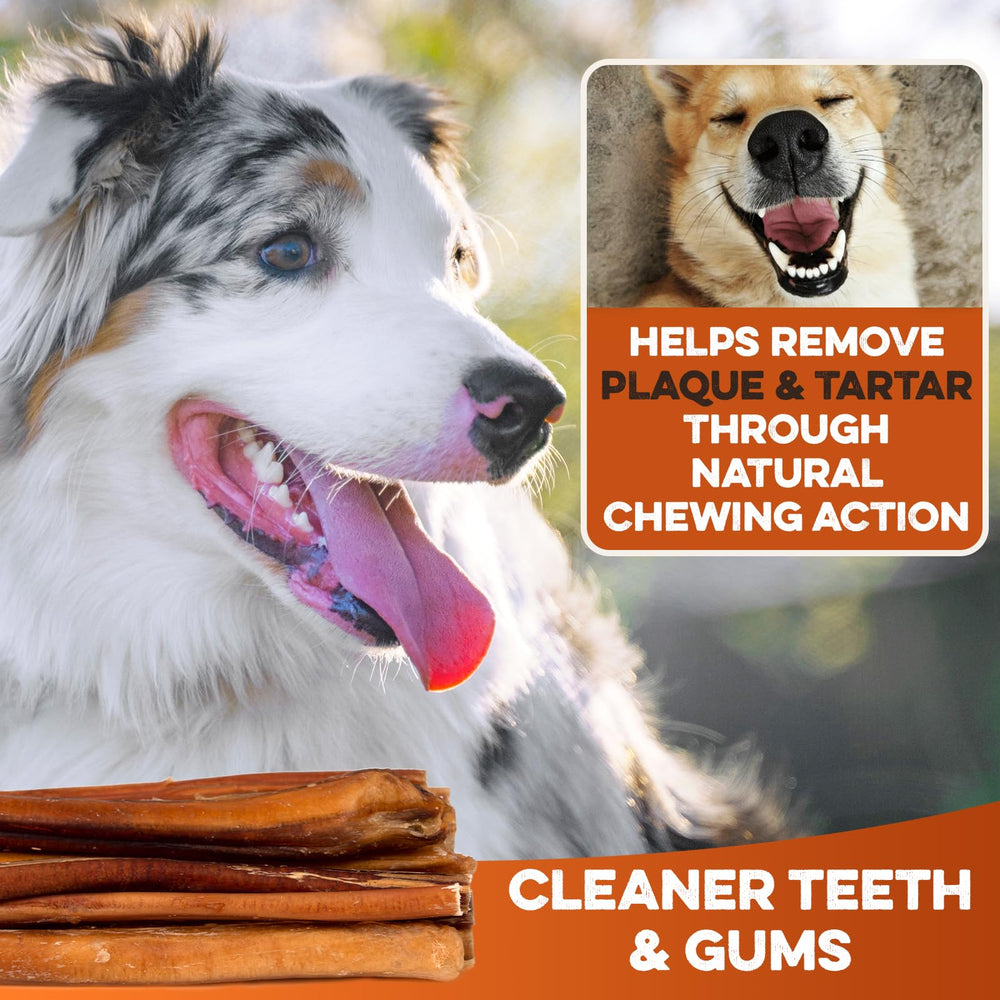 BRUTUS & BARNABY single-ingredient chew demonstrate rawhide-free formula for daily use.