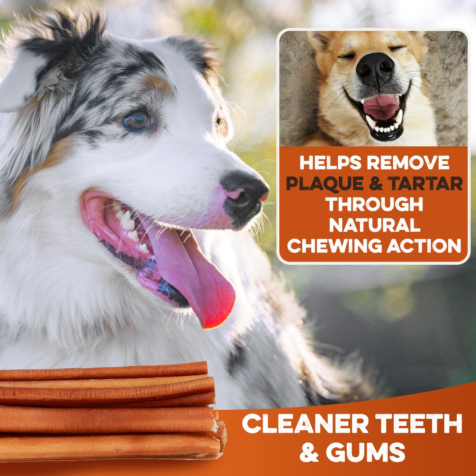 BRUTUS & BARNABY single-ingredient dog chew for purity and digestion.