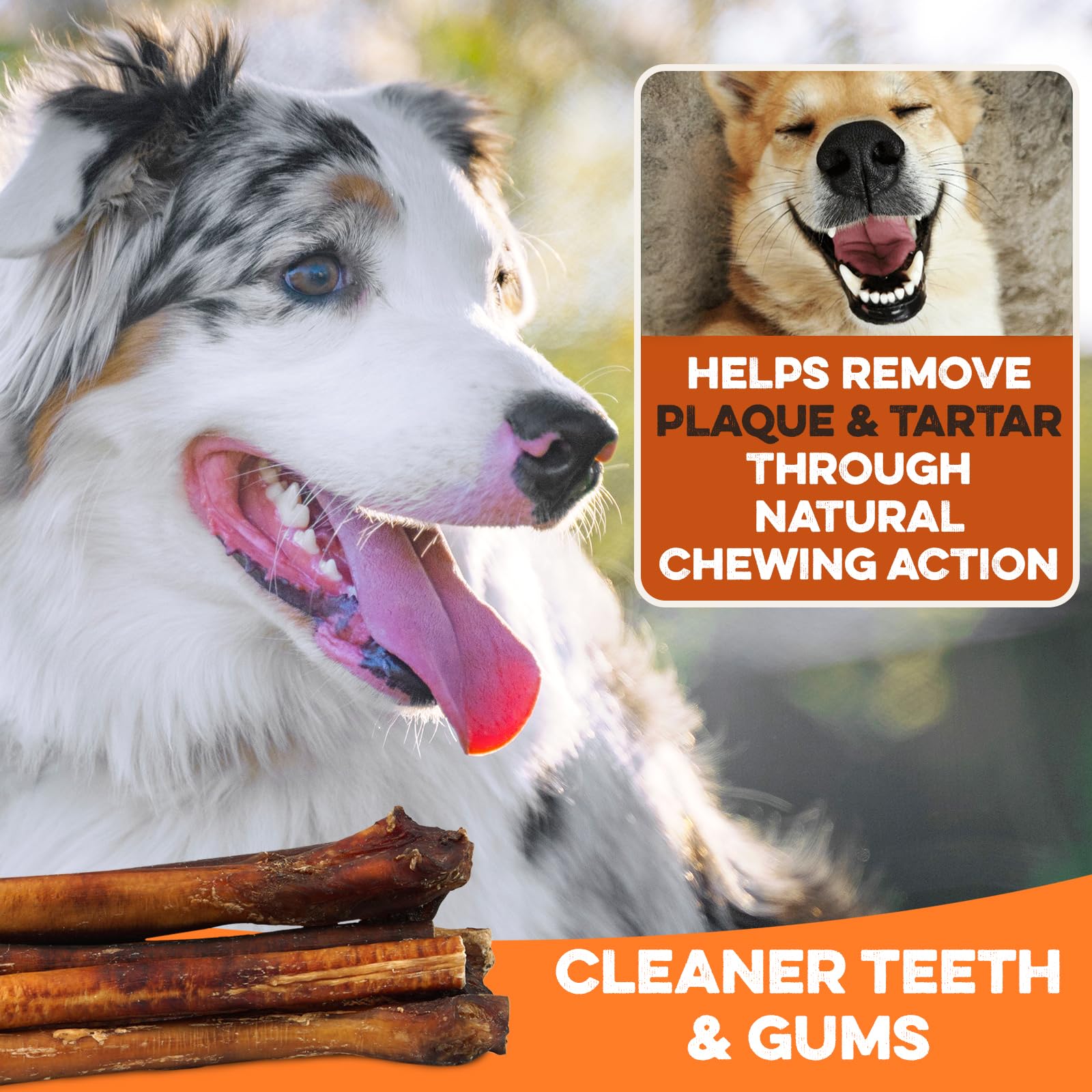 BRUTUS & BARNABY grass-fed beef chews shown as a protein-rich reward during training.