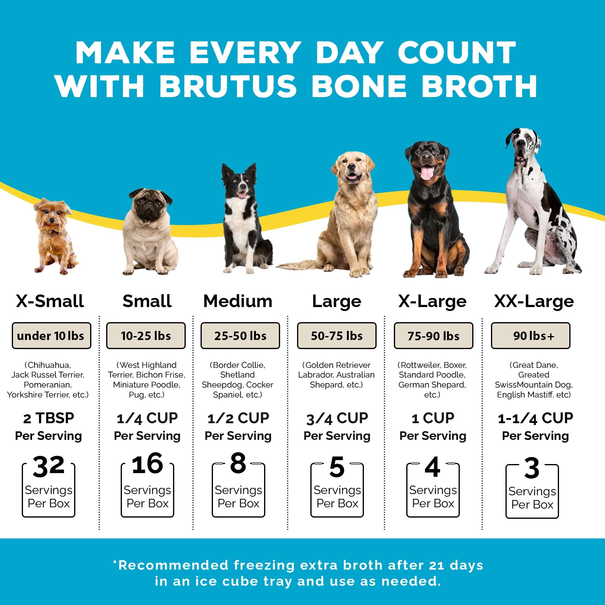 Brutus Bone Broth dog bowl serving improves kibble flavor and moisture