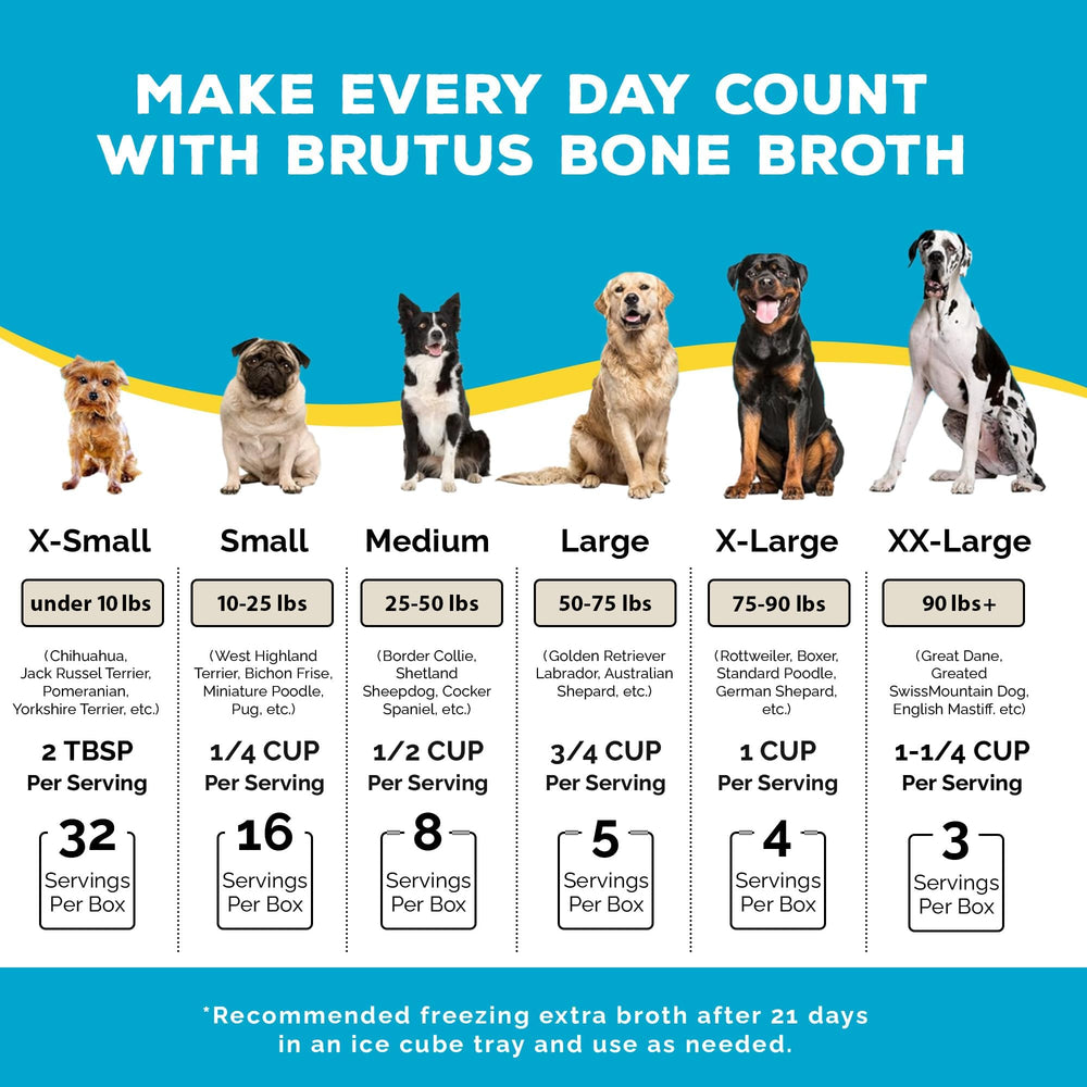 Brutus Bone Broth dog bowl serving improves kibble flavor and moisture