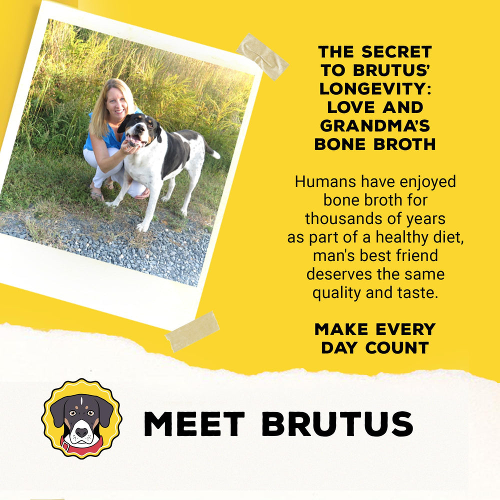 Brutus Bone Broth Biscuits beef made-in-usa — quality you can trust