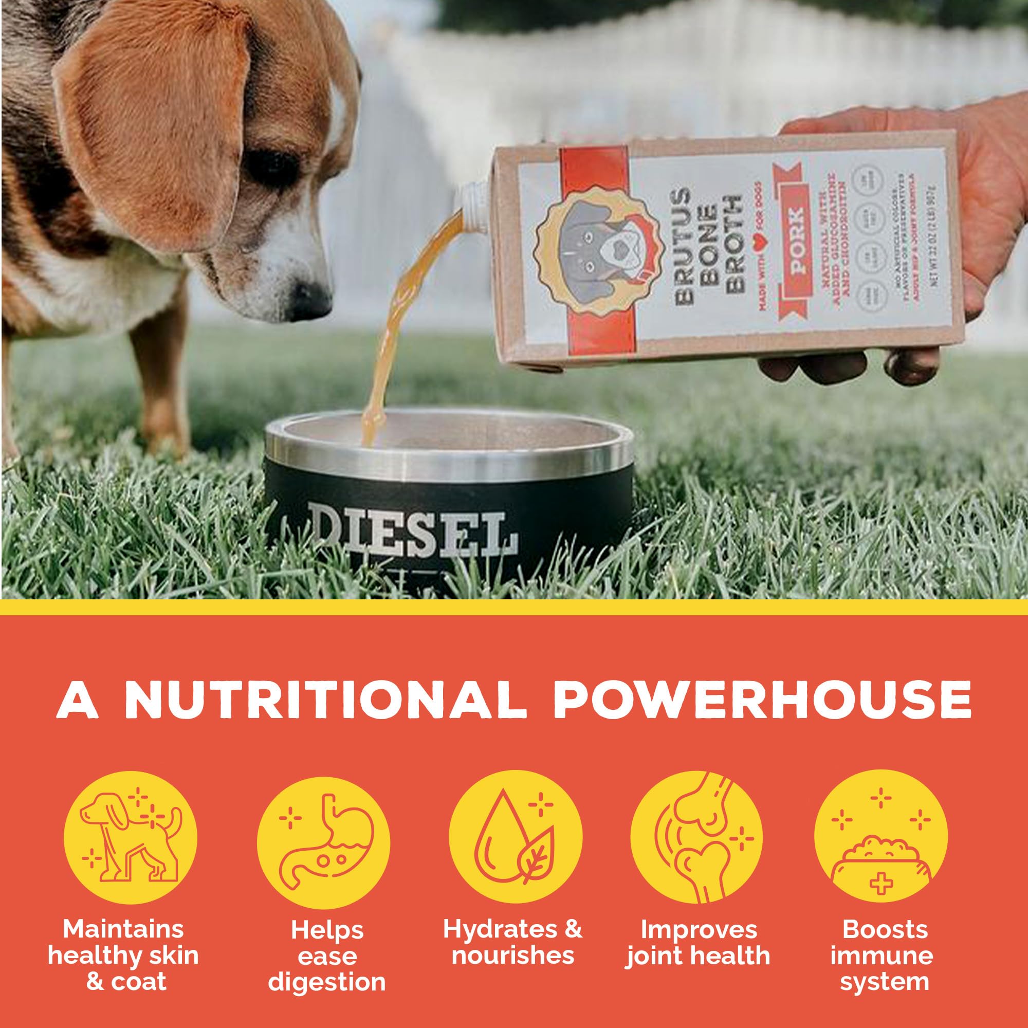 Brutus Bone Broth USA-made label signals quality manufacturing