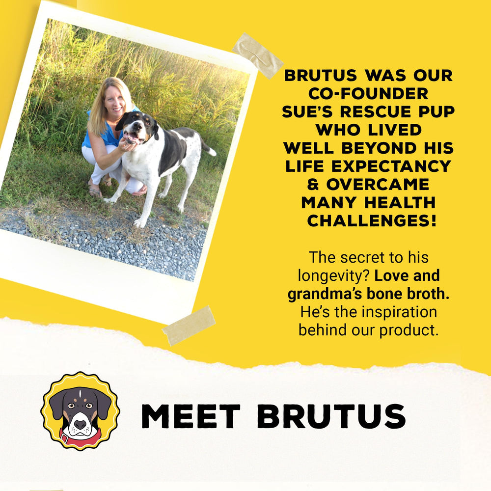 Brutus Bone Broth recyclable packaging promotes eco-friendly dog nutrition