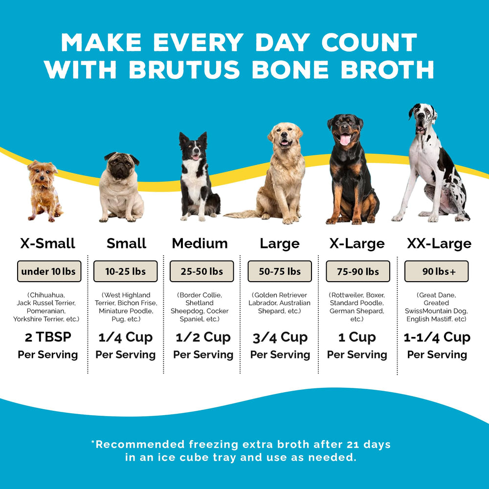 Brutus Bone Broth picky eaters topper demonstrates beef flavor for meals