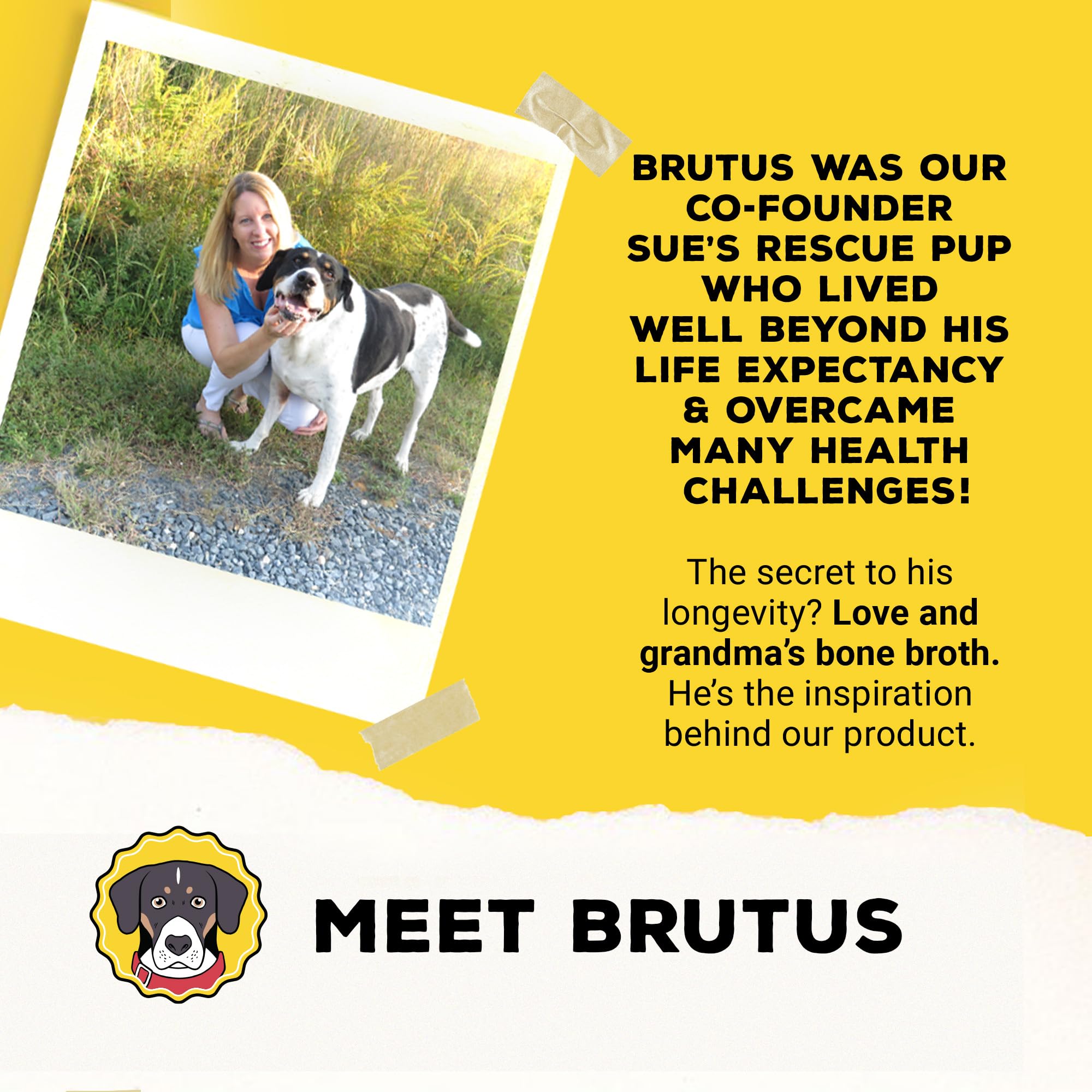 Brutus Bone Broth Powder health benefits graphic hints at joint support and hydration
