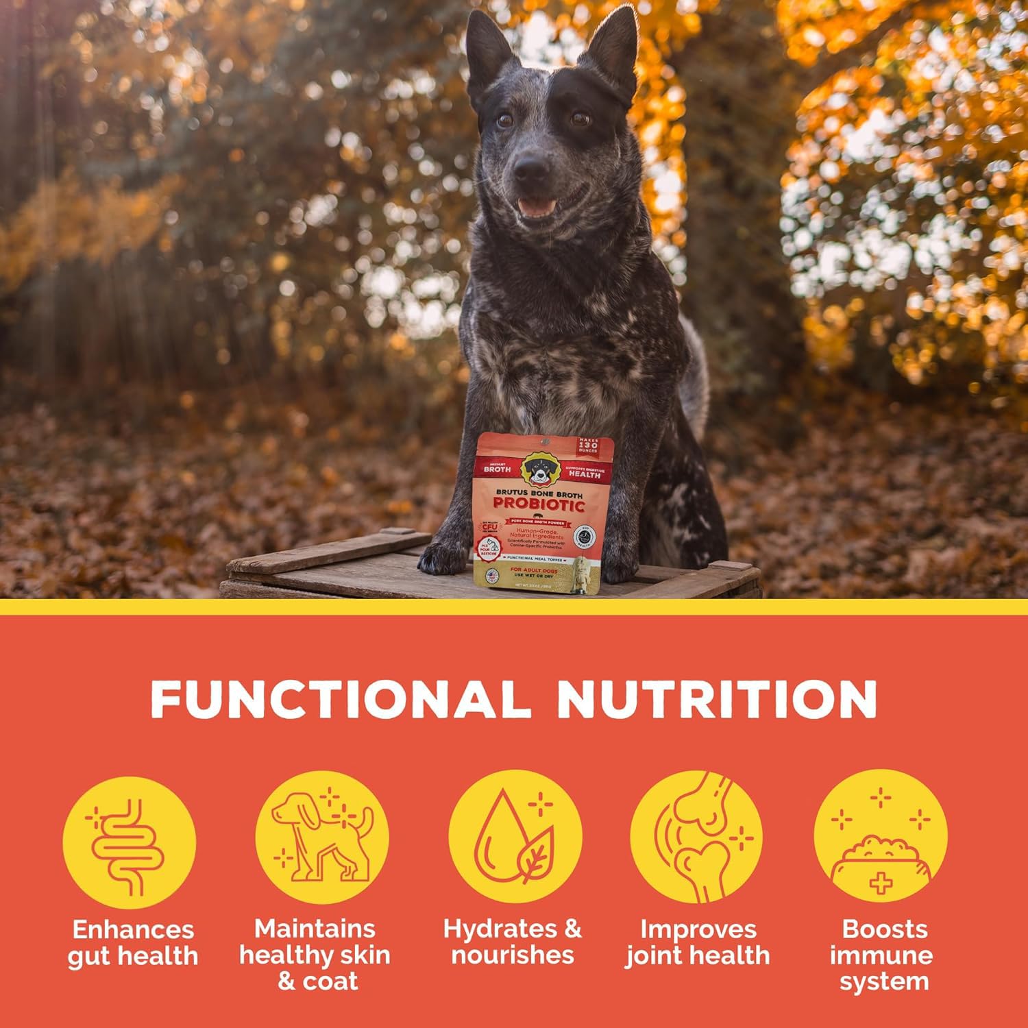 Brutus Bone Broth Powder packaging near human-grade facility logo communicates quality