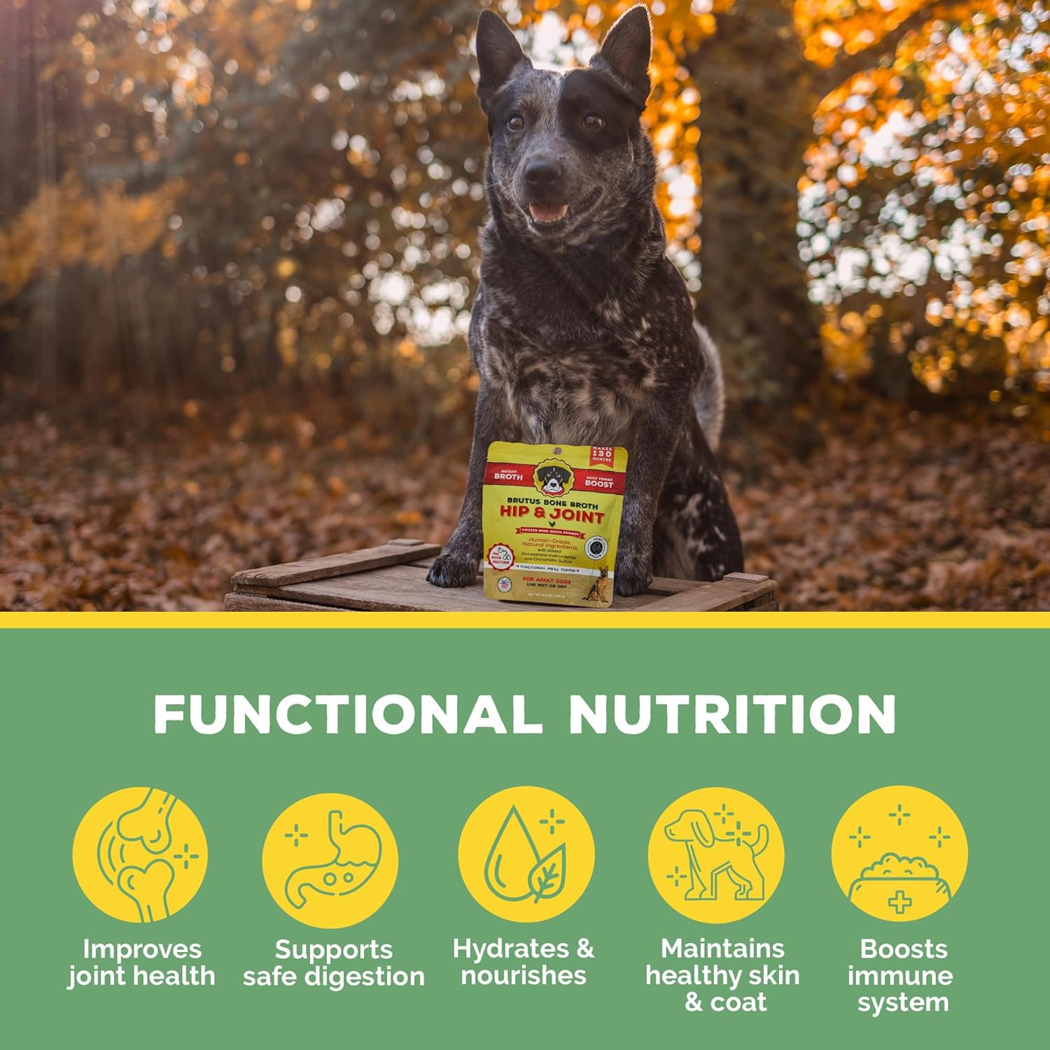 Brutus Bone Broth served in dog bowl, ready to top meals