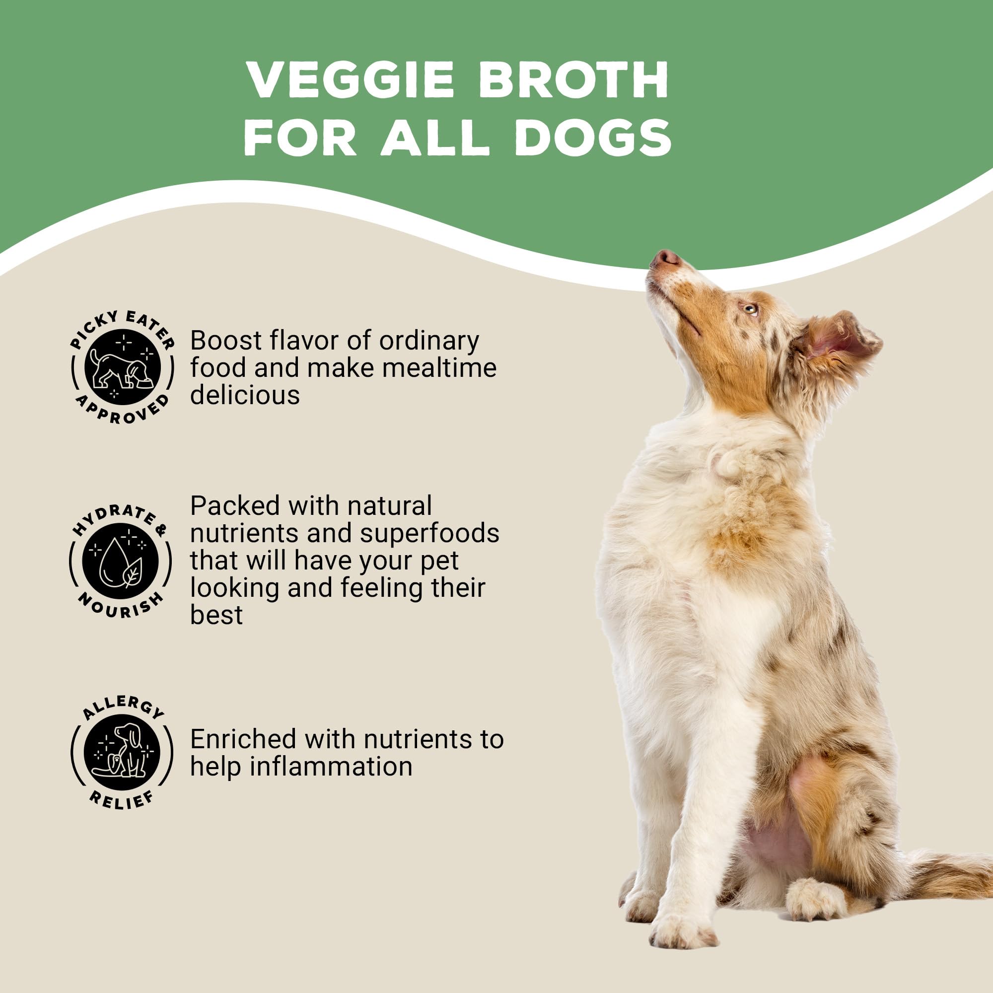 Brutus Broth salmon-omega-3 closeup suggests skin and coat benefits.