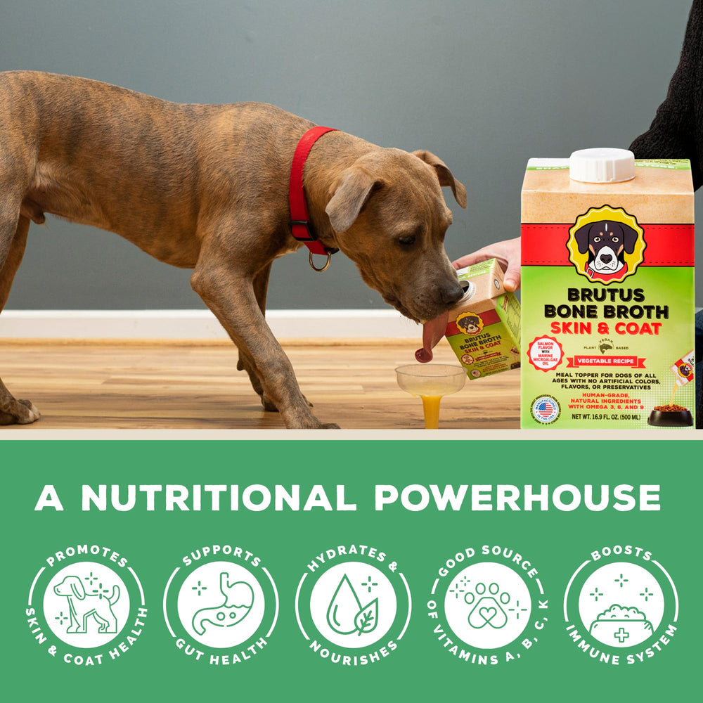 Brutus Low-sodium broth pour illustrates a hydrating, flavor-forward option.