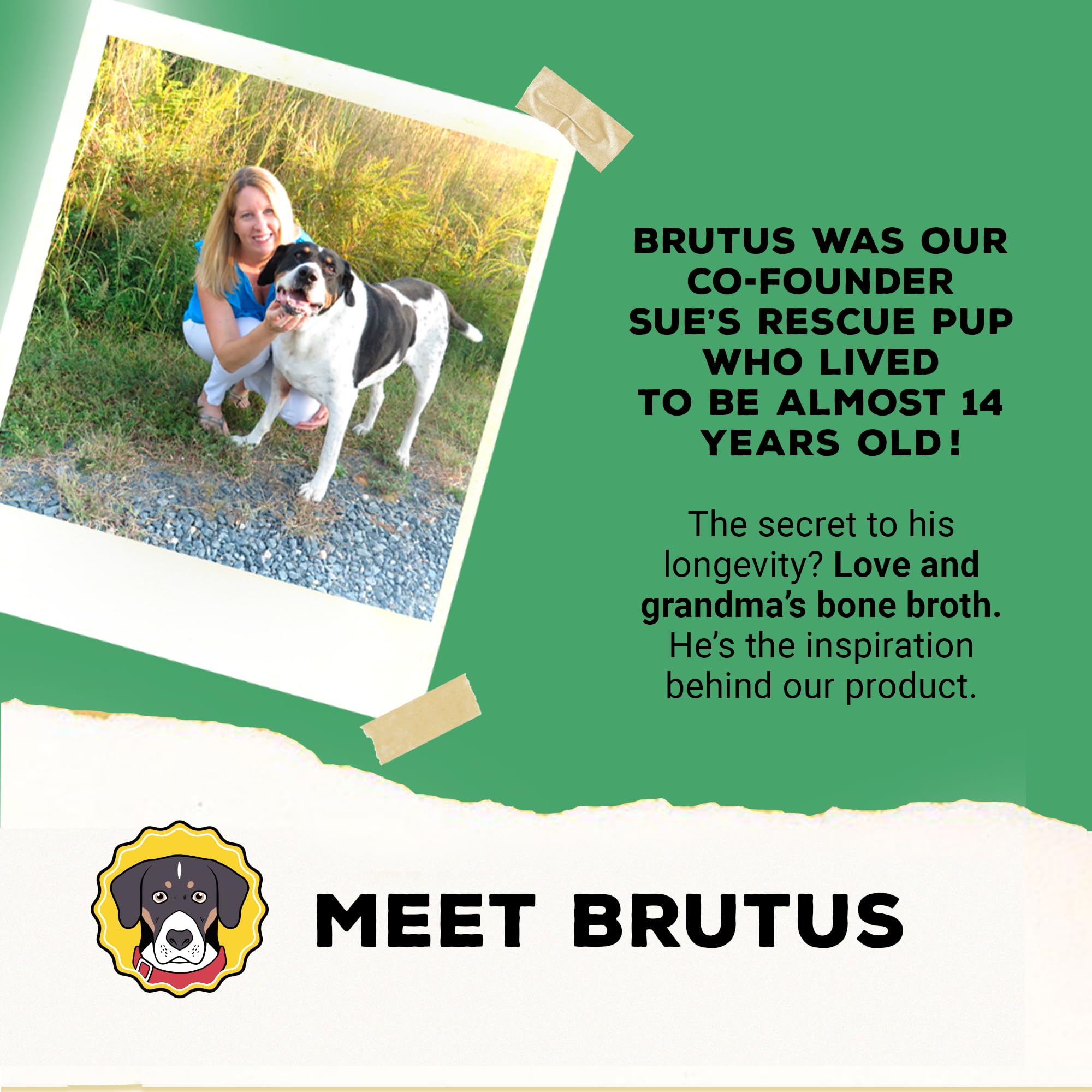 Brutus Omega-support closeup hints at skin and coat nutrition benefits.