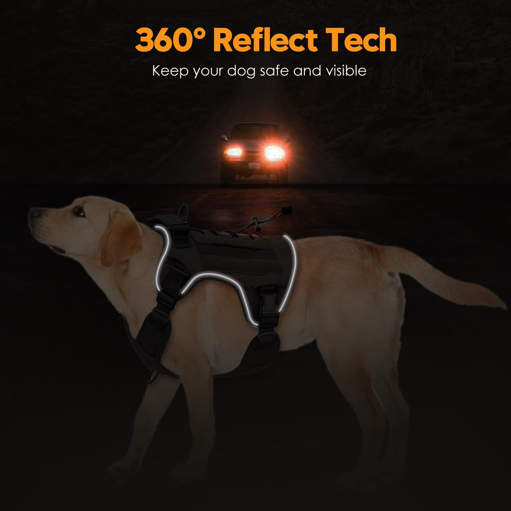 Bruvoalon air mesh padding keeps dogs cool during activity.