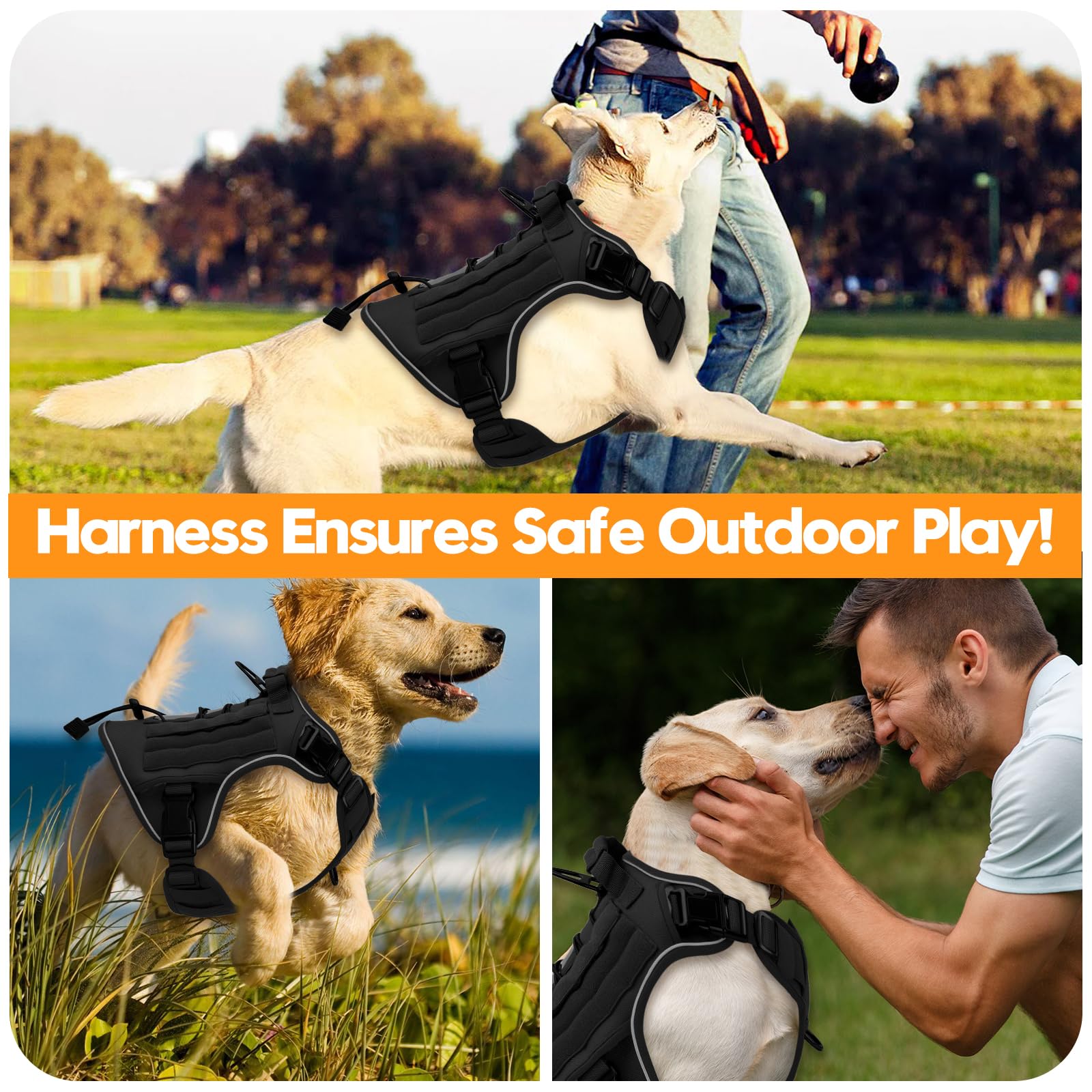 Bruvoalon four-way adjustable fit adapts as dogs grow.