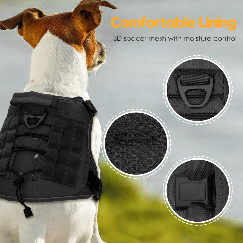 Bruvoalon front-clip training harness demonstrates no-pull control for calmer walks.
