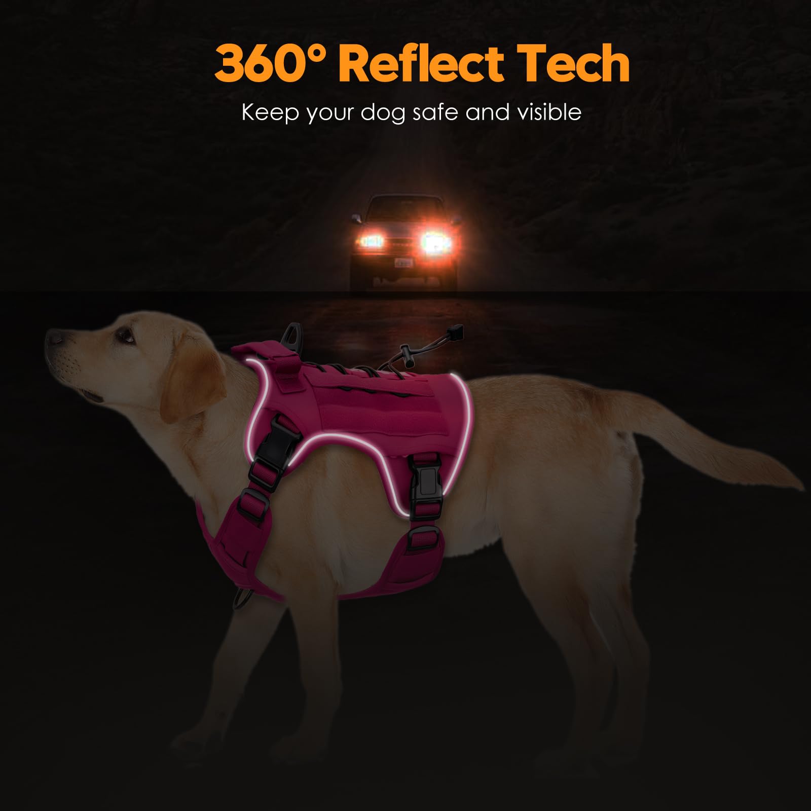 Bruvoalon breathable air mesh padding keeps dogs cool during activity.