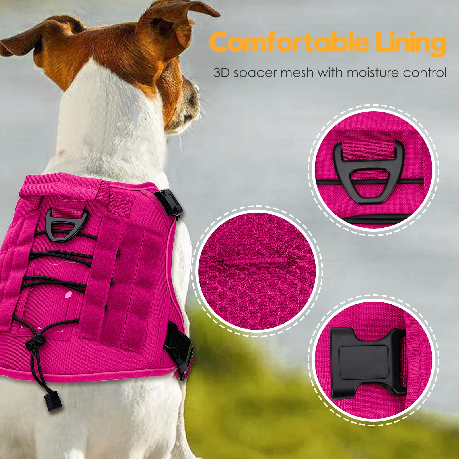 Bruvoalon heavy-duty tactical dog harness back-clip MOLLE system visible for gear-ready hikes.