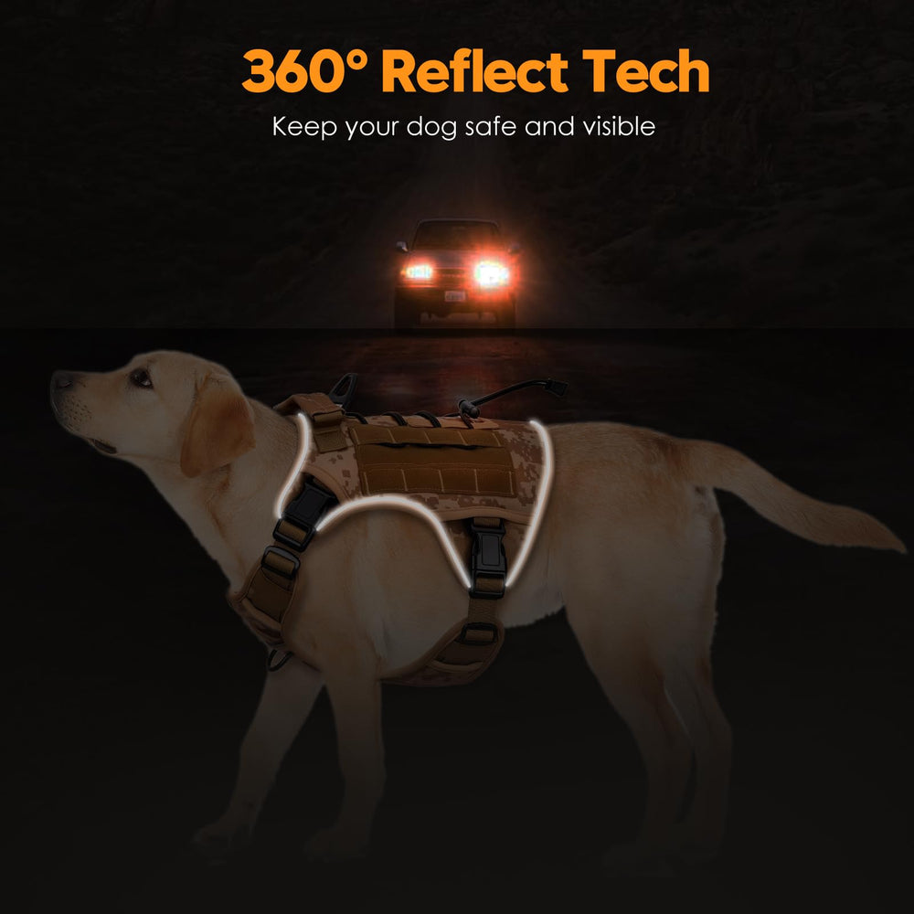 Bruvoalon breathable air mesh padding keeps dogs cool during workouts