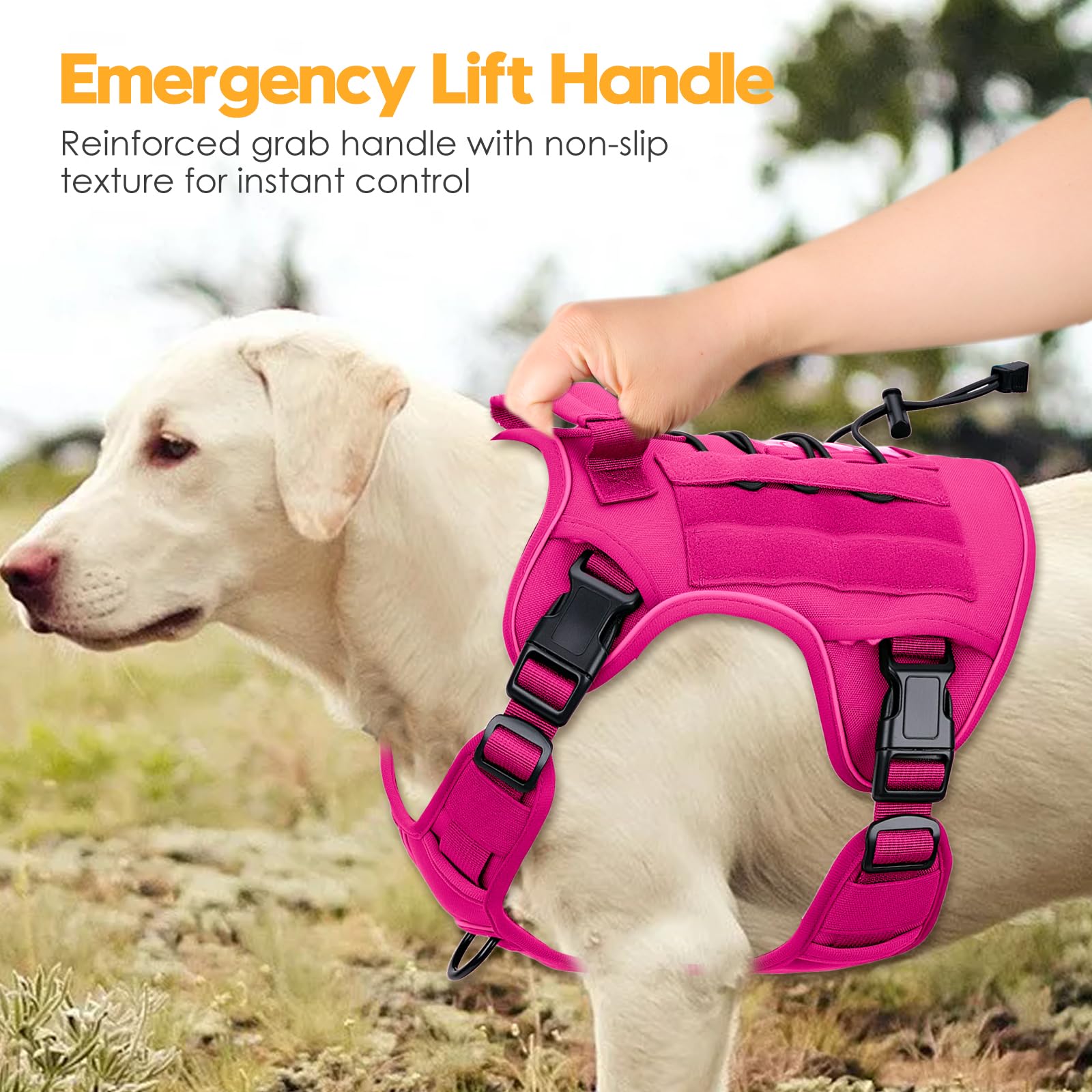 Bruvoalon heavy-duty harness supports 10+ breeds for versatile outdoor use.