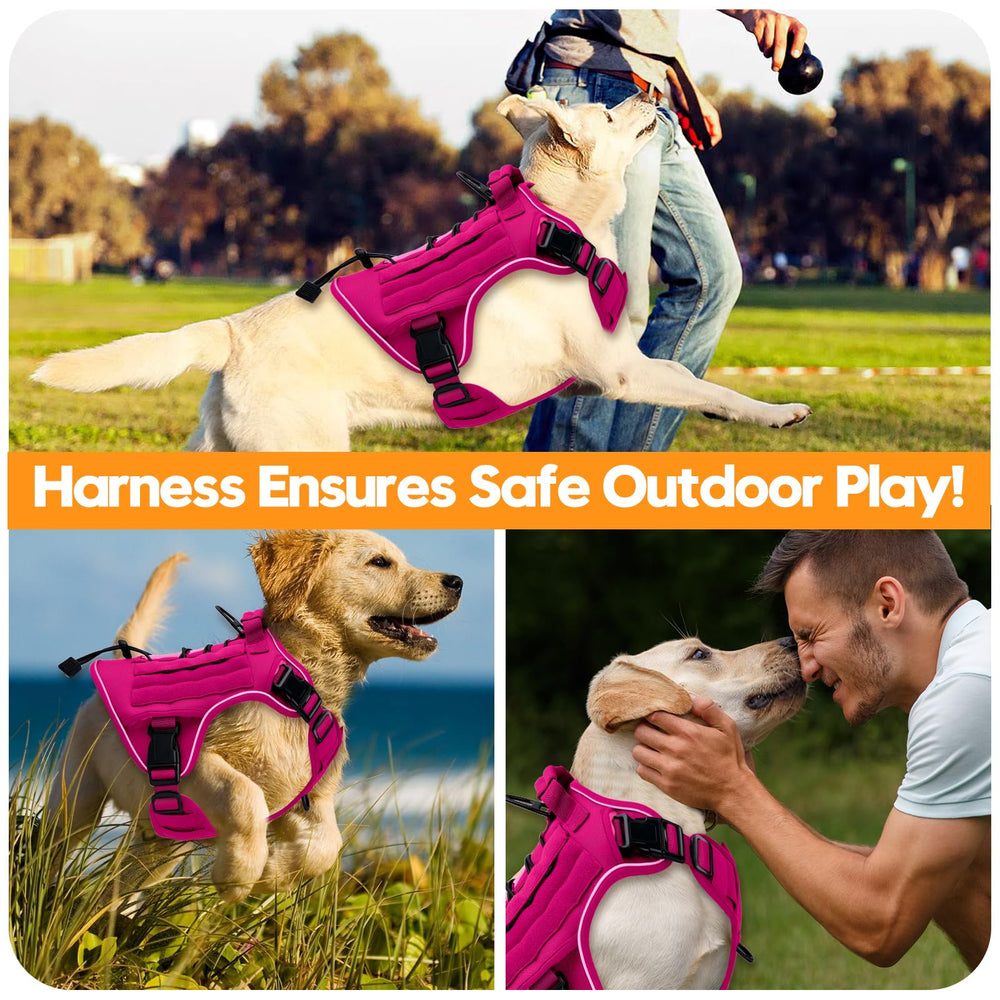 Bruvoalon four-way adjustable straps provide a snug, growing-with-dog fit.
