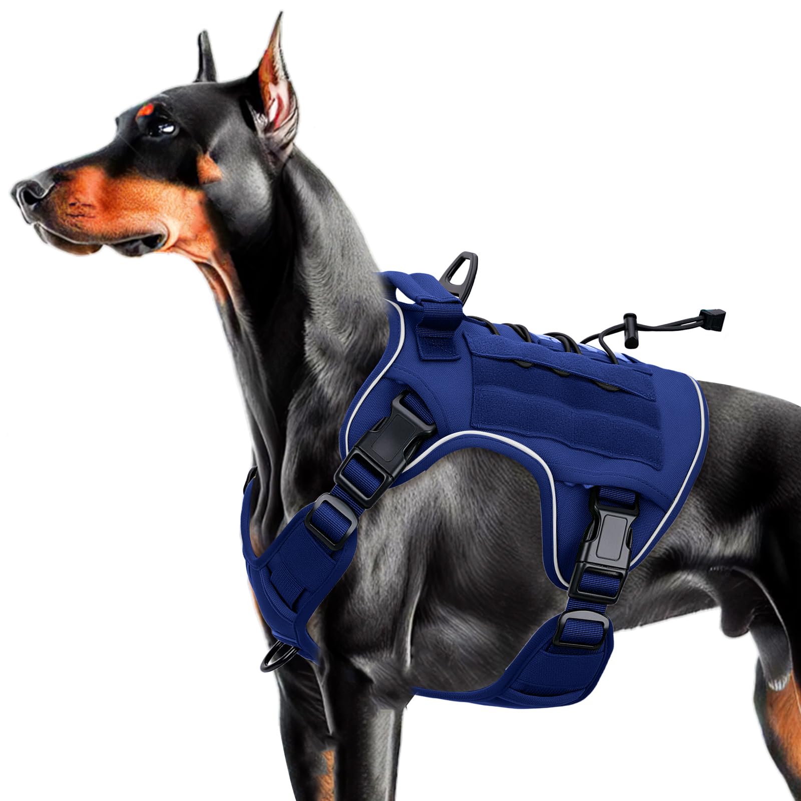 Bruvoalon heavy-duty tactical dog harness front clip for training and stronger control