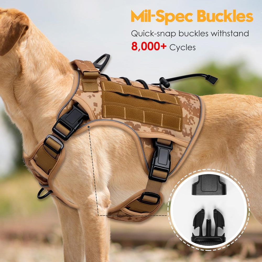 Bruvoalon MOLLE-ready harness for carrying gear on adventures