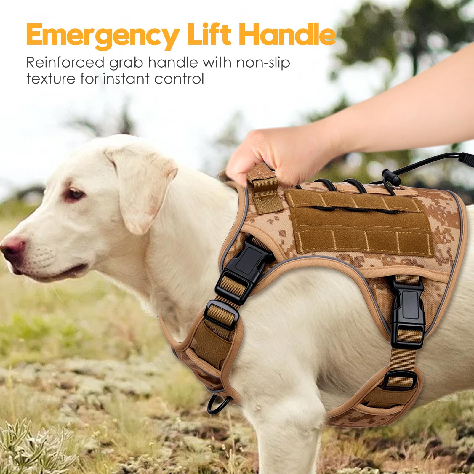 Bruvoalon outdoors usage shows versatile large-dog harness for adventures