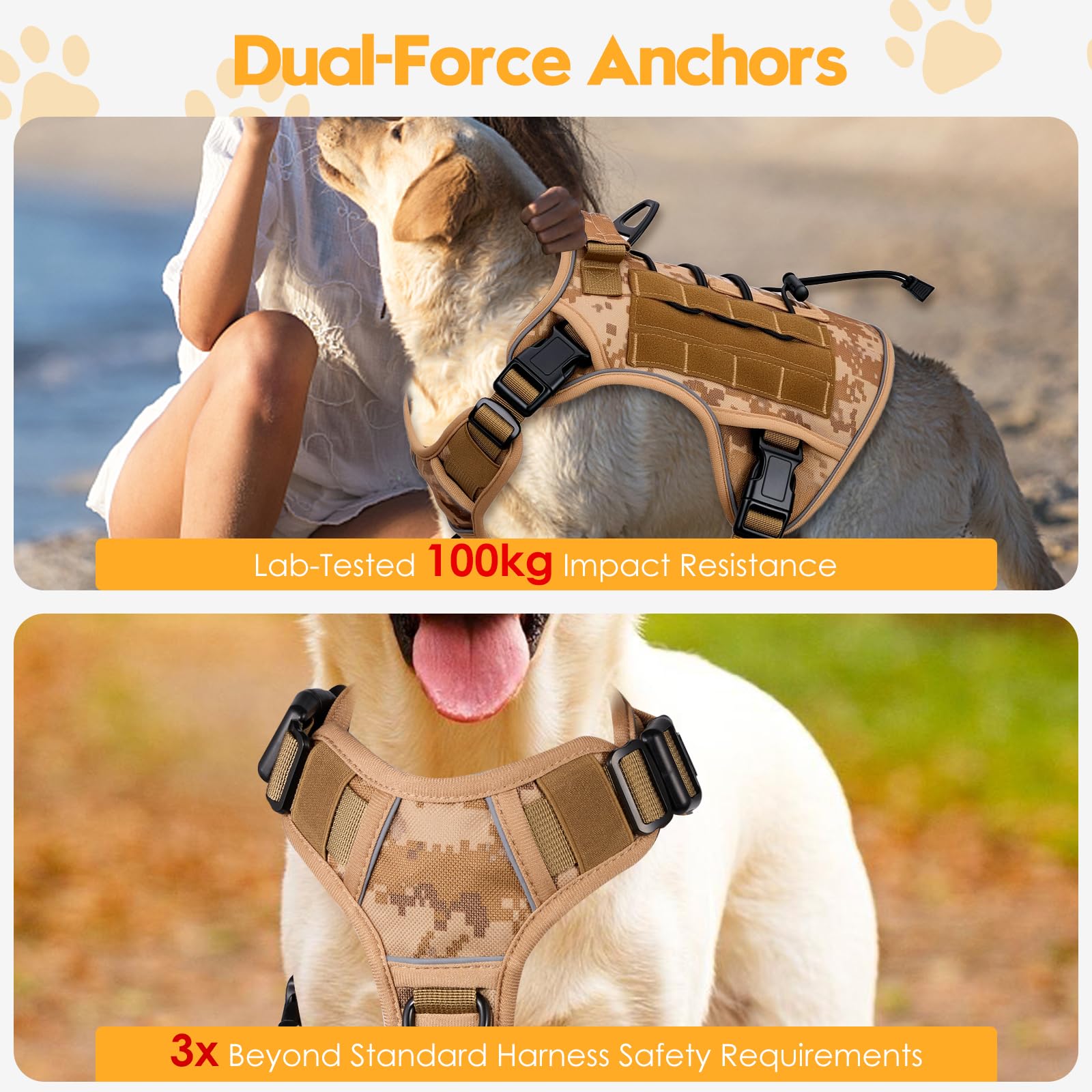 Bruvoalon reflective trim on harness enhances night visibility