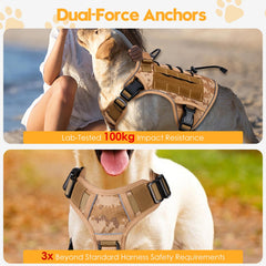 Bruvoalon reflective trim on harness enhances night visibility