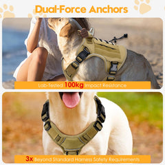 Bruvoalon harness with reflective trim for safer night walks