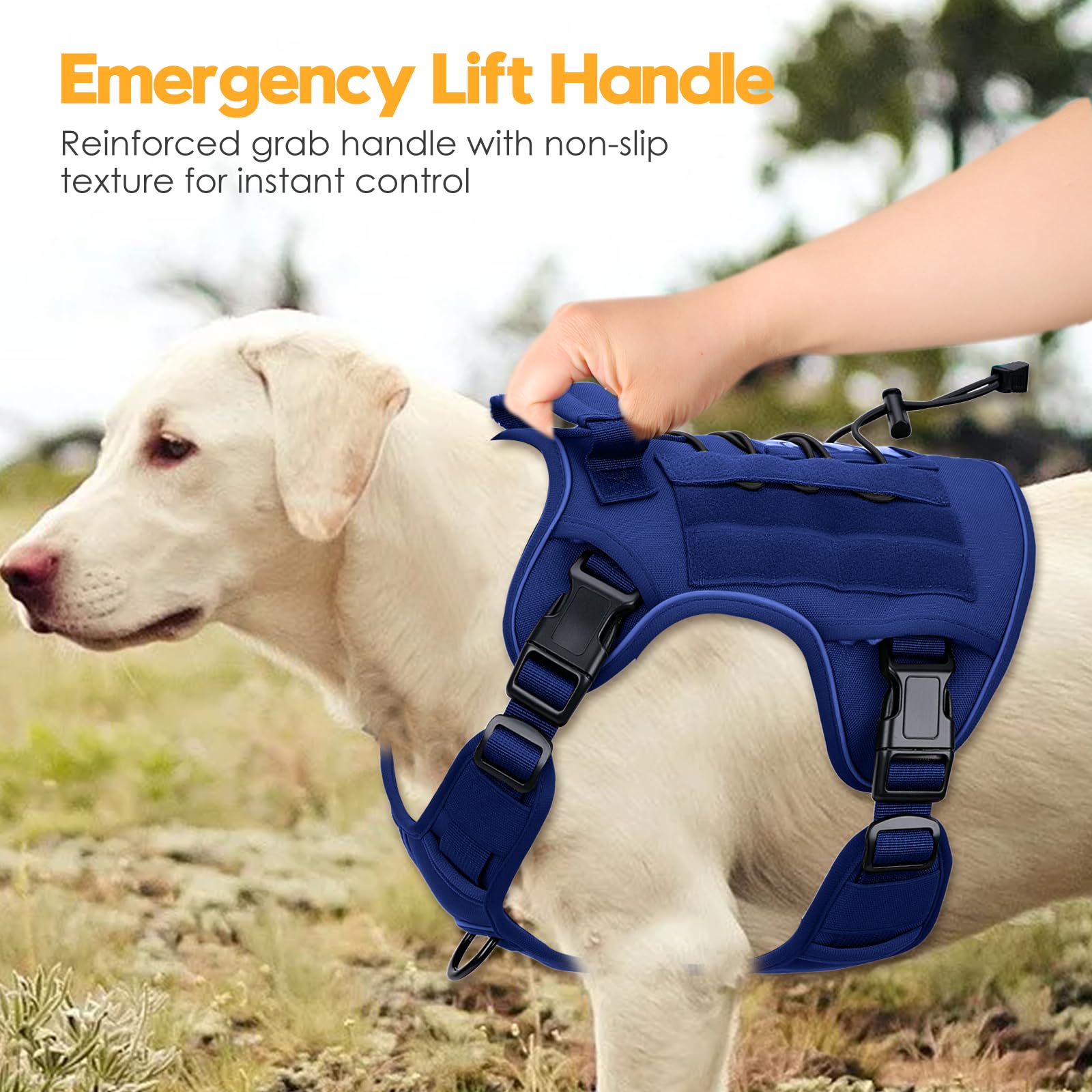 Bruvoalon heavy-duty tactical dog harness size chart shows S to XXL options