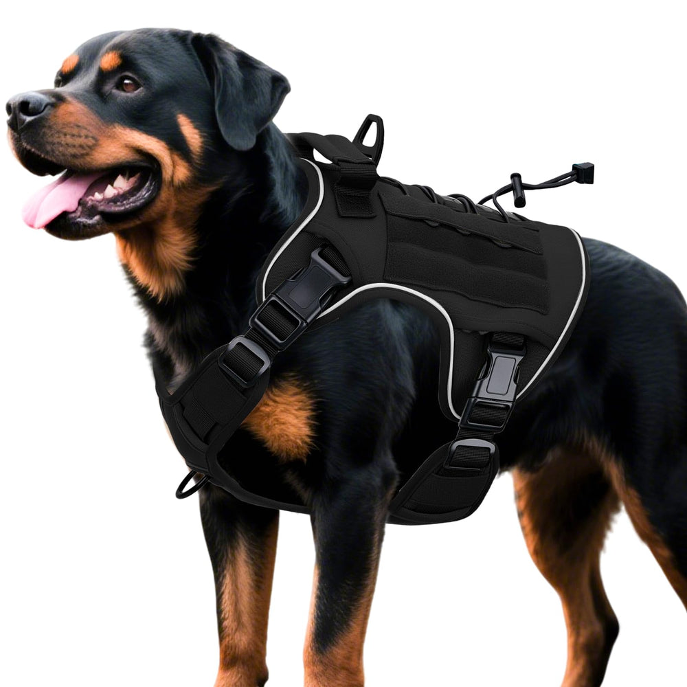 Bruvoalon heavy-duty tactical dog harness X-Large Black shown on a large dog for rugged outdoor use.