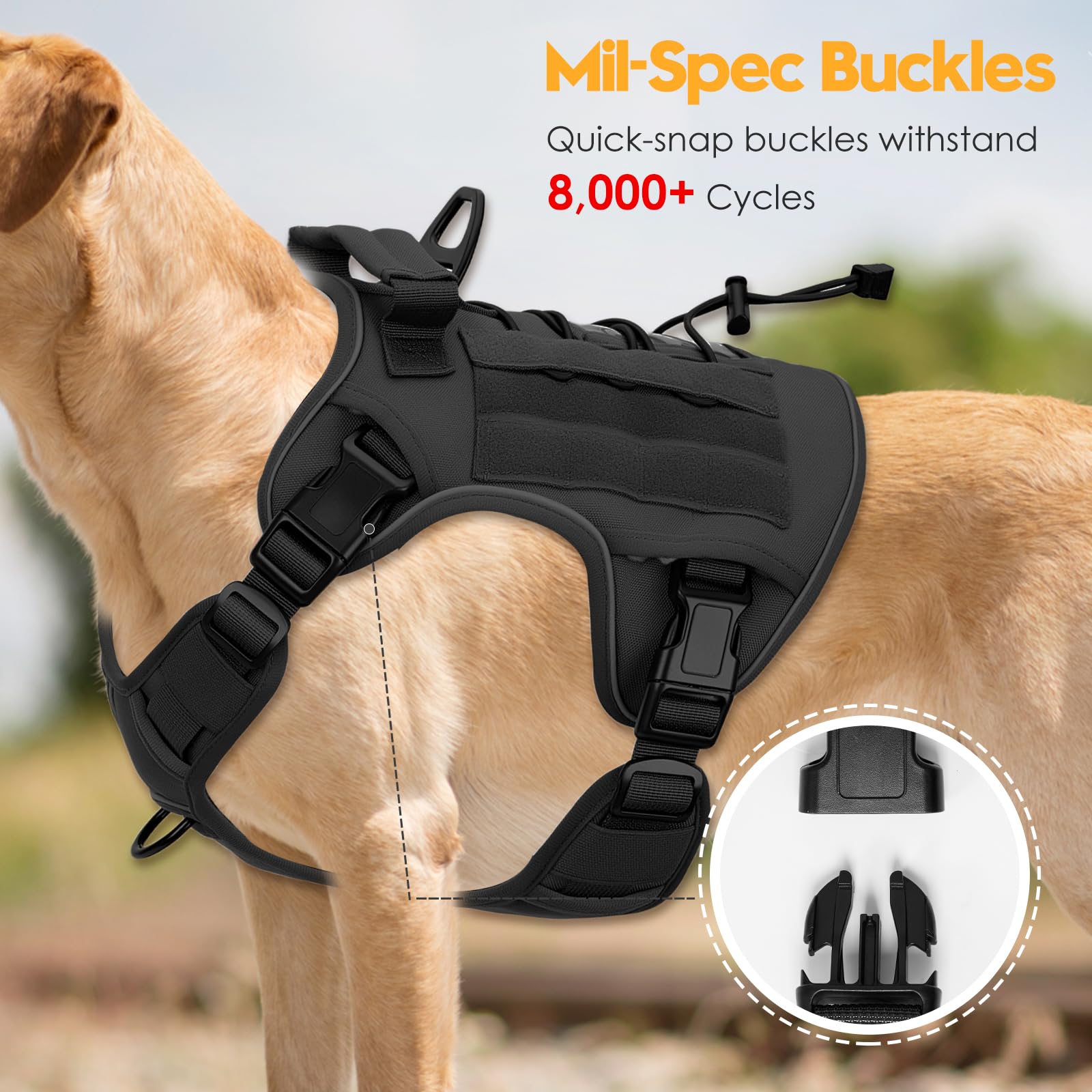 Bruvoalon MOLLE system with patches supports gear-ready dogs during adventures.