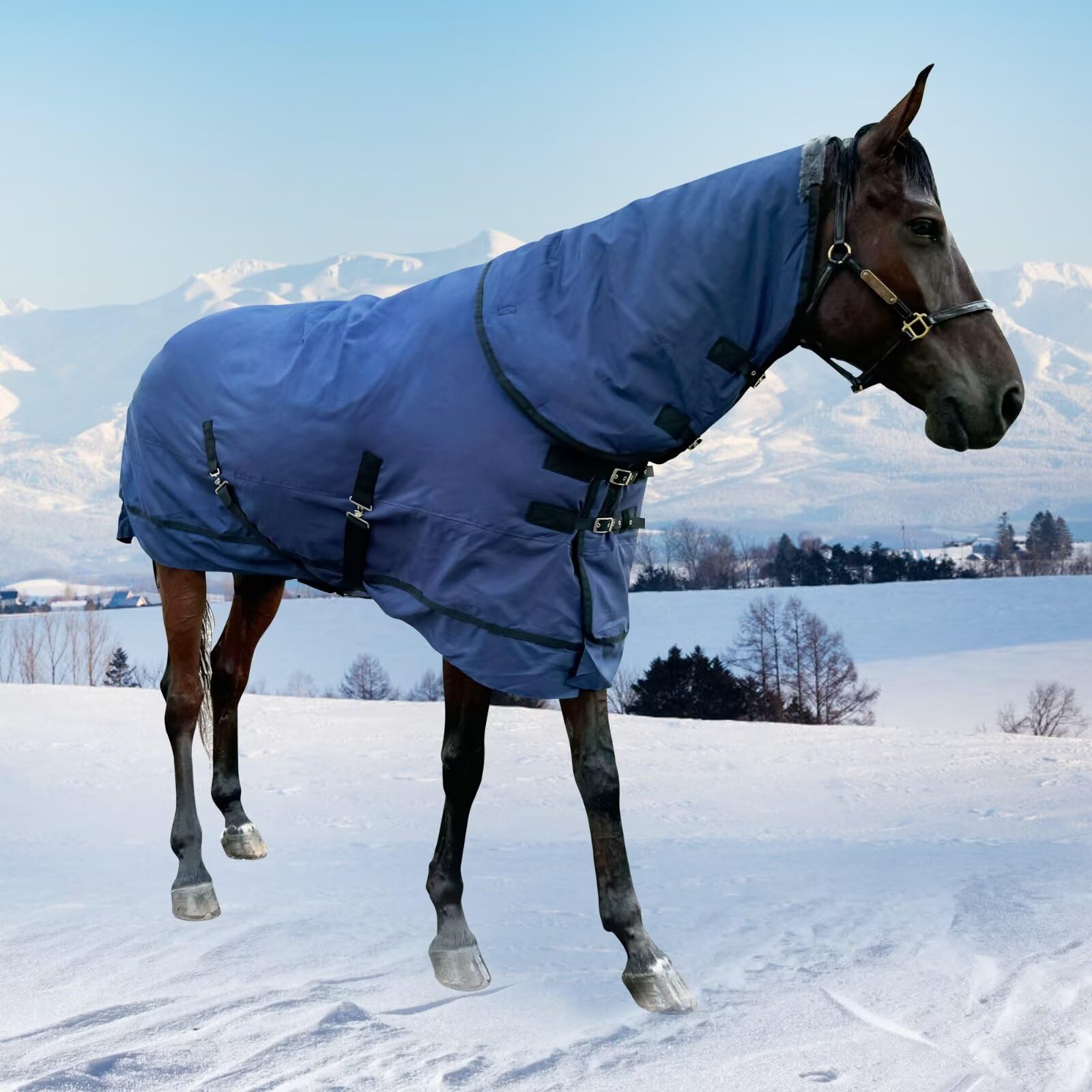 Brvoyep cross surcingle strap system shows secure fit and easy adjustment.
