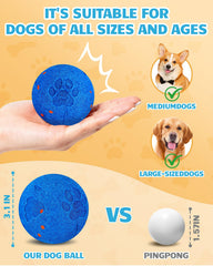 Bryxkla Interactive Ball in action encourages chasing and active exercise for medium to large dogs.